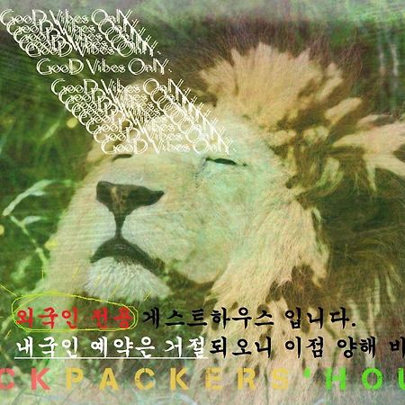 Backpackers' House Hotel Busan Bagian luar foto