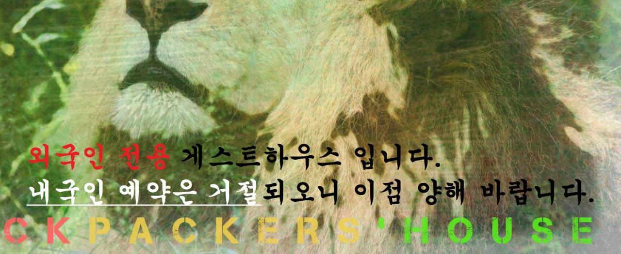 Backpackers' House Hotel Busan Bagian luar foto